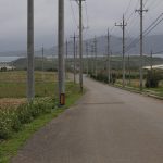 小浜島で夫婦ヒッチハイク