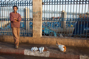 モロッコ　エッサウィラ morocco-Essaouira