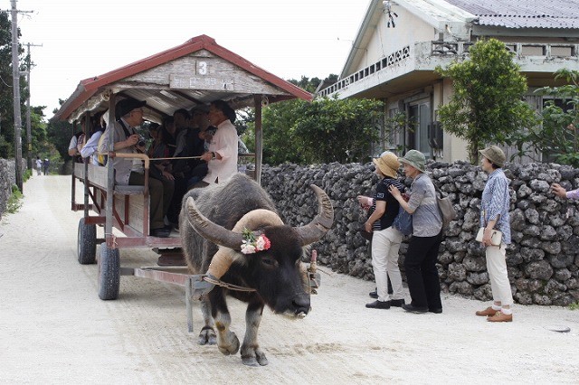 竹富島 japan-ishigaki-taketomi