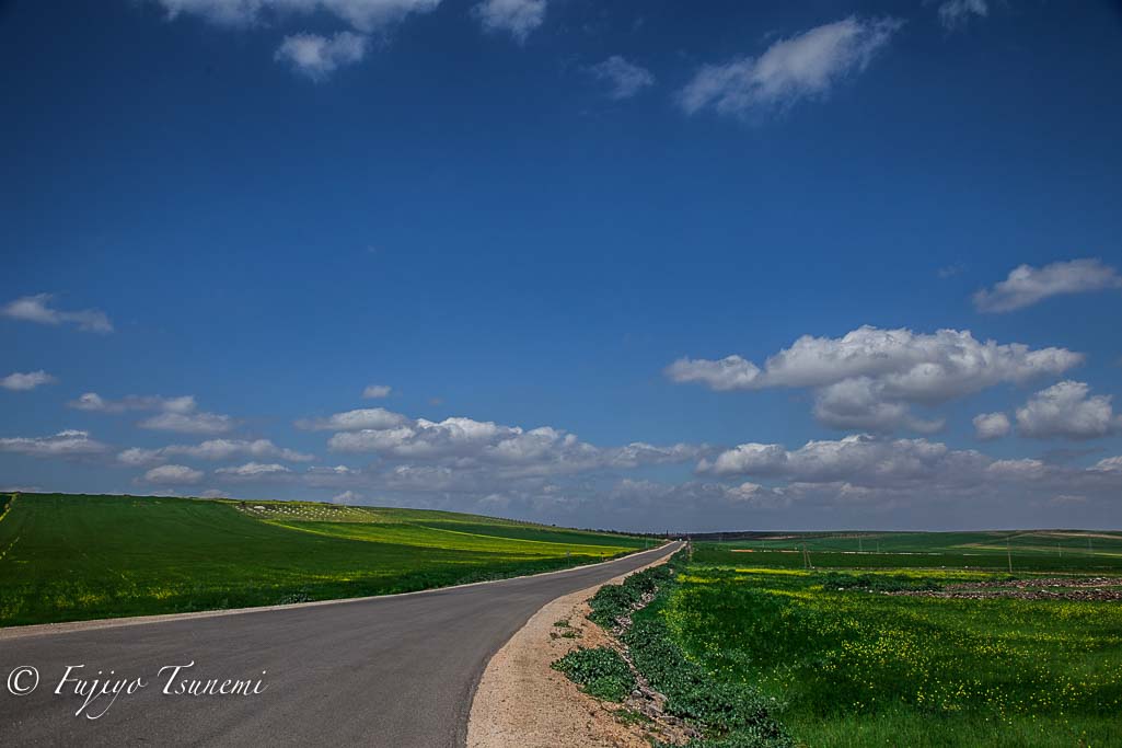 シリアの農村地帯