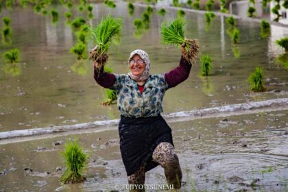 イランの田植え　イラン女性