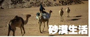 desert-nomad