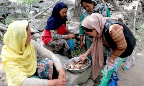 Eid-al-adha Turtuk village India トゥルトゥク村のイード・アドハ