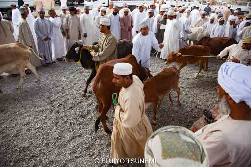 オマーン　ニズワ　Oman Nizwa