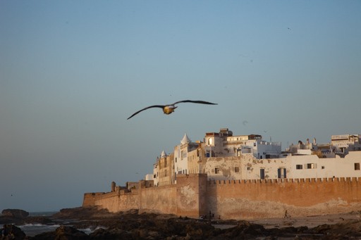 モロッコ　エッサウィラ morocco-Essaouira