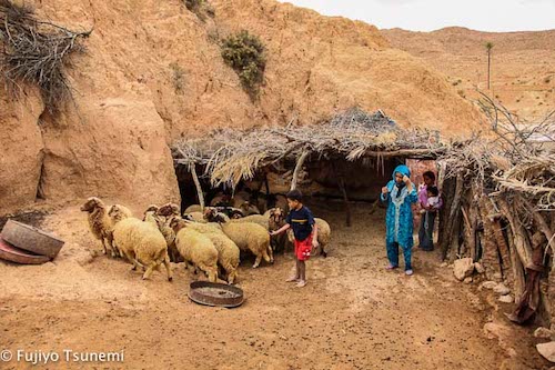 チュニジアのマトマタ居穴住居の暮らし