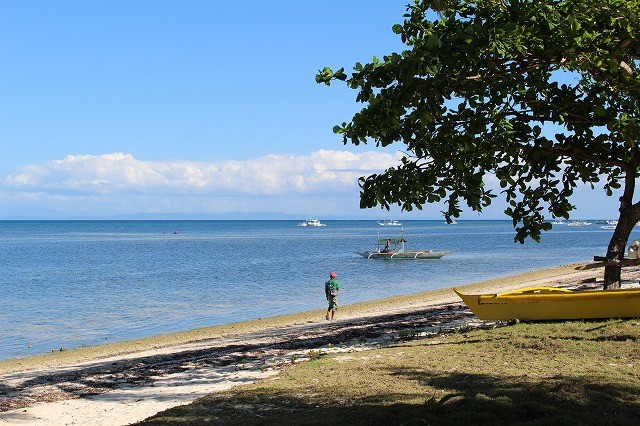 Philippines Malapascua island フィリピン　マラパスクア島
