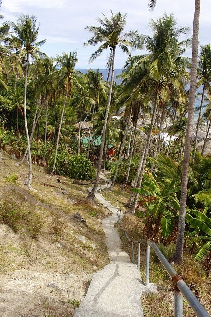 Philippines Apo-island フィリピン　アポ島