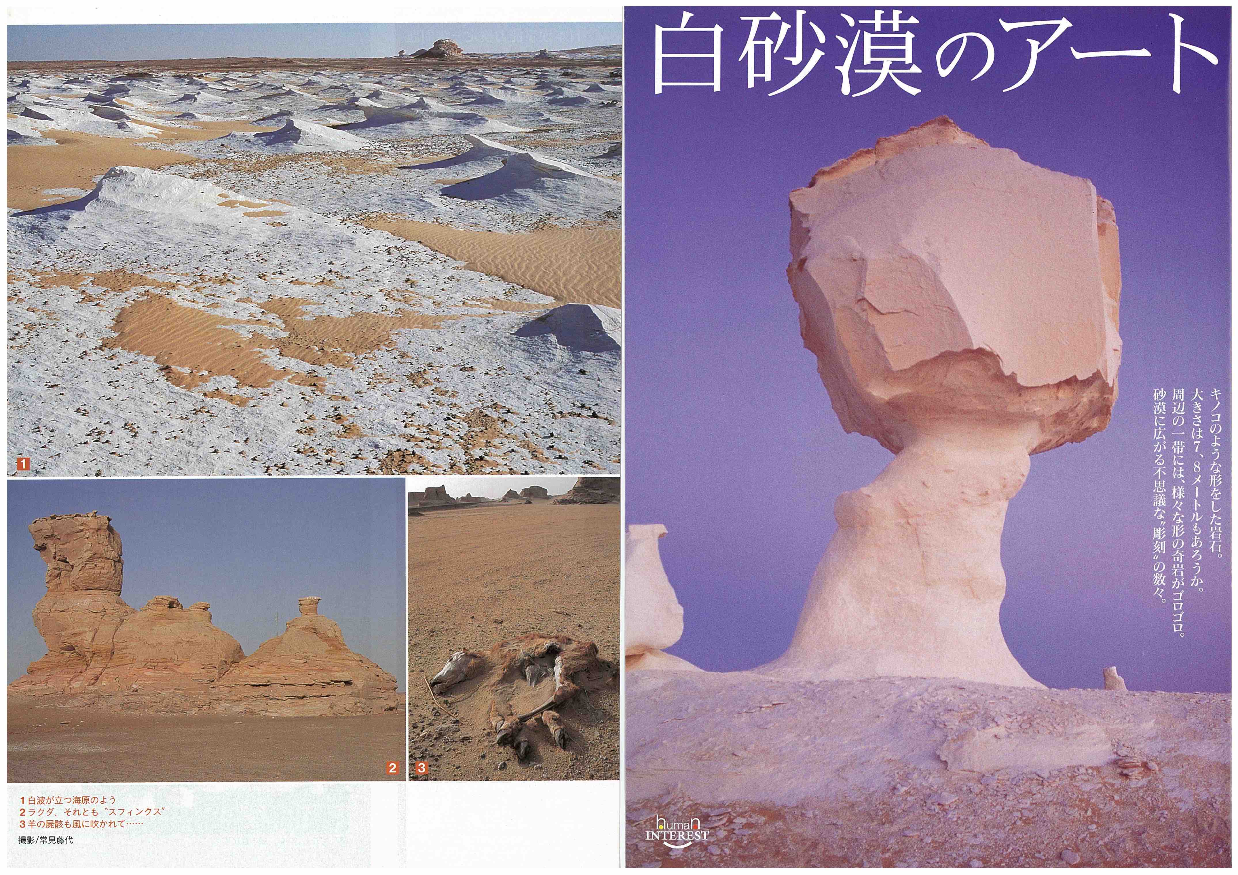 週刊新潮 白砂漠のアート ふじよ Fujiyo Hp