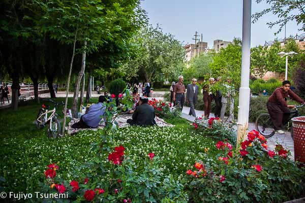 イランの公園