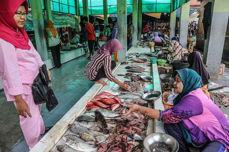 インドネシア　スンバワブサール　indonesia　Sumbawa-Besar