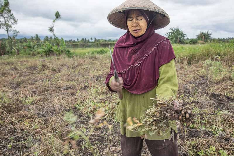 インドネシア　スンバワブサール　indonesia　Sumbawa-Besar