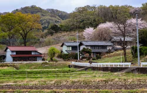 藪塚温泉