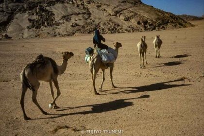 砂漠の遊牧民　desert nomad 　ラクダ