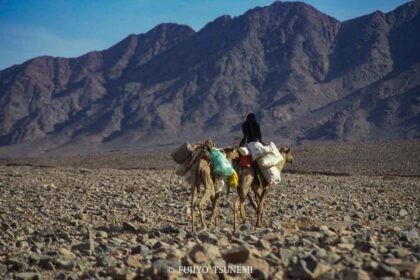 砂漠の遊牧民　desert nomad