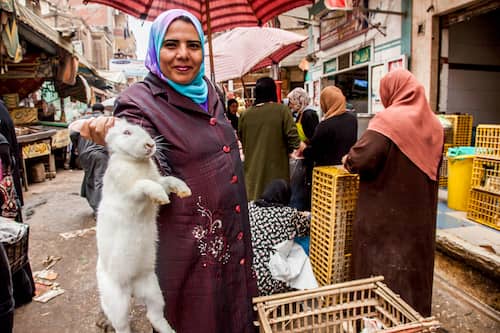 イスラム女性　イスラム教の女性　エジプト女性　『エジプトアフマド毎日がもりだくさん』（偕成社）