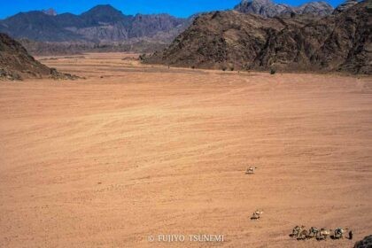 砂漠の遊牧民　desert nomad ラクダの放牧