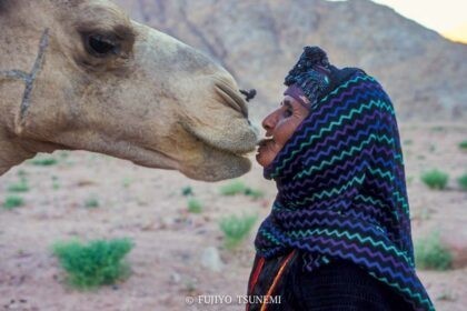 砂漠の遊牧民　desert nomad ラクダ