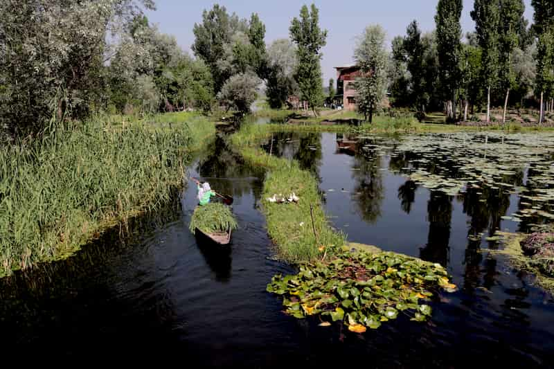 シュリーナガル カシミール Srinagar Kashmir