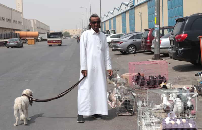 サウジアラビアの犬