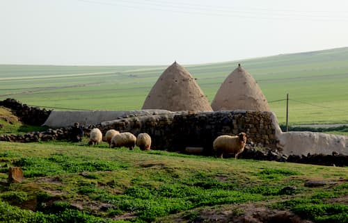 syria village シリアの村