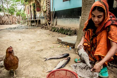 イスラム女性　バングラデシュ女性　Islam woman Bangladesh woman