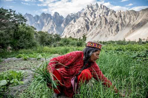 イスラム女性　パキスタン女性　Islam woman Pakistan woman