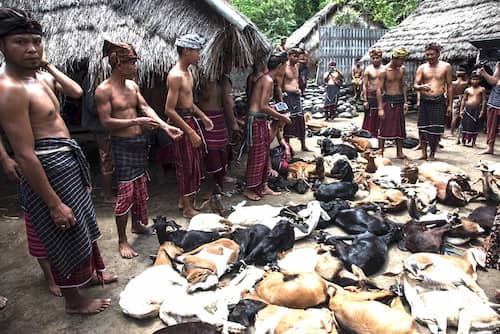 Lombok-bayan-maulid ロンボク島バヤン・マウリド