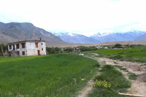 india-ladak-Stongdey-house　ラダック・ストンデ村のホームステイ