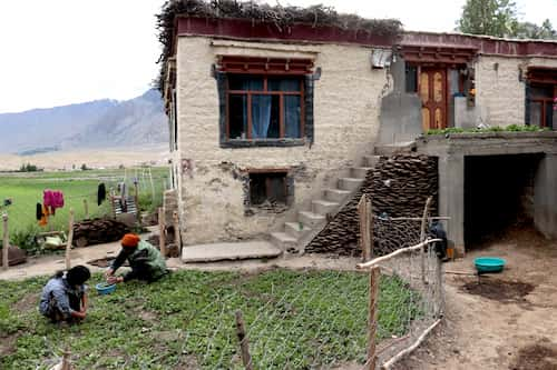 india-ladak-Stongdey-house　ラダック・ストンデ村のホームステイ