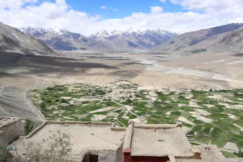 india-ladak-Stongdey-house　ラダック・ストンデ村のホームステイ