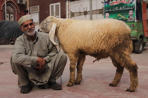 Pakistan Lahore man　パキスタン・ラホールの男性