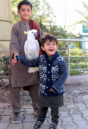 パキスタン　ペシャワール動物園　pakistan-peshawar-zoo