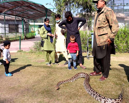 ペシャワール動物園　Peshawar zoo