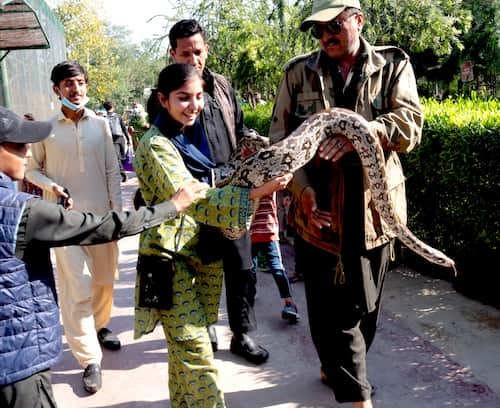 パキスタン　ペシャワール動物園　pakistan-peshawar-zoo