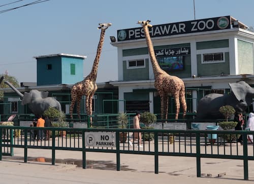 パキスタン　ペシャワール動物園　pakistan-peshawar-zoo