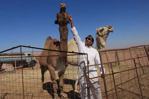 saudi-arabia-desert-nomad サウジアラビアの砂漠の遊牧民