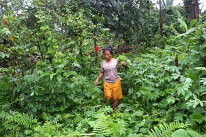 siberut mentawai woman シベルート島メンタワイ族の女性