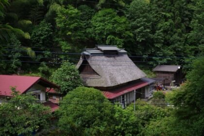 南沢あじさい山