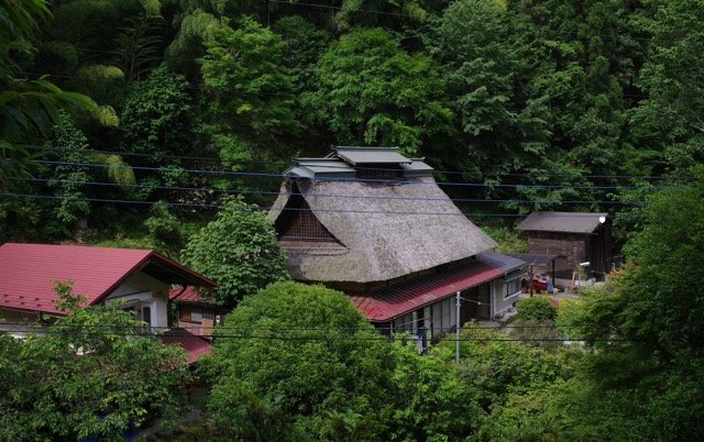 南沢あじさい山
