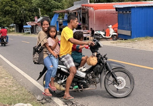 インドネシア フローレス島の移動