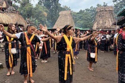 フローレス島トロレラ村の祭り　Flores Tololela traditional village